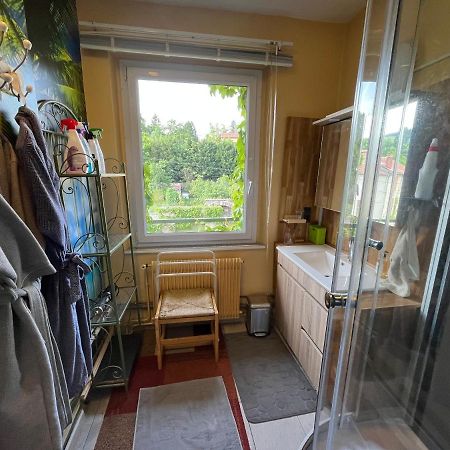 Espaly-Saint-Marcel Le Prieure St Marcel Bed & Breakfast エクステリア 写真